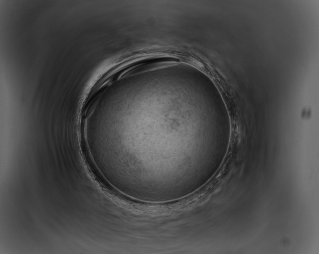 X0000101960006200807181051