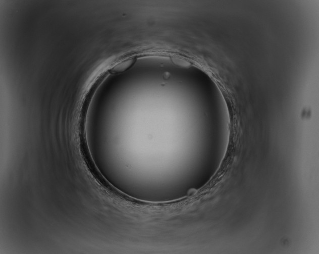 X0000101960007200807181051