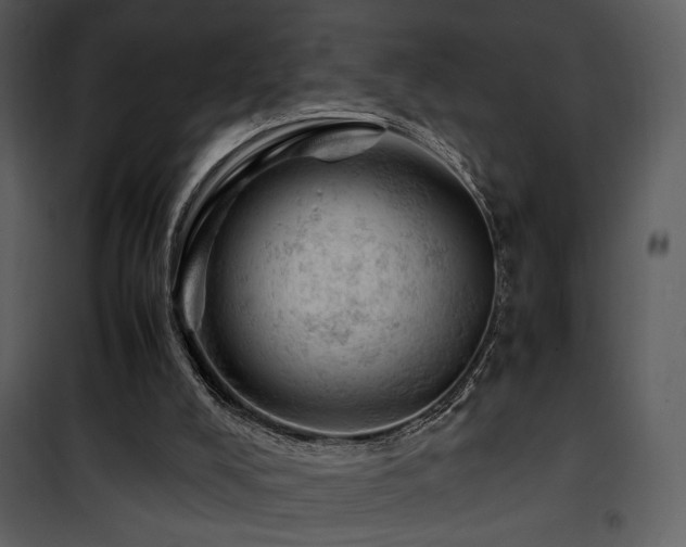 X0000101960008200807181051