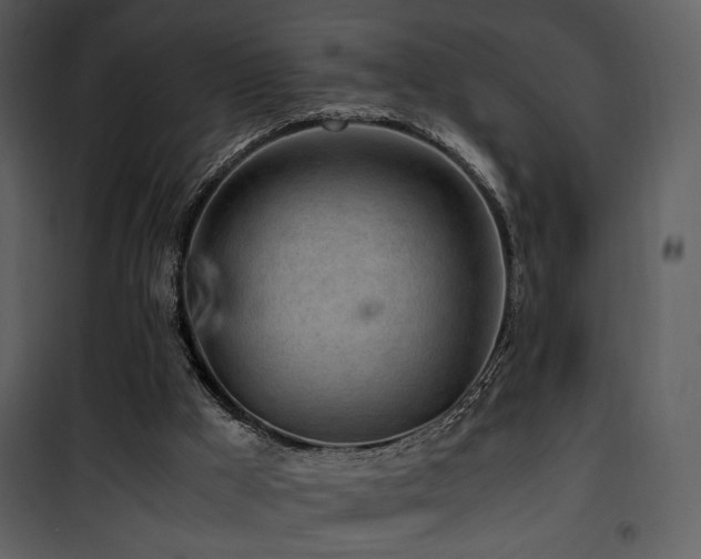 X0000101960009200807181051