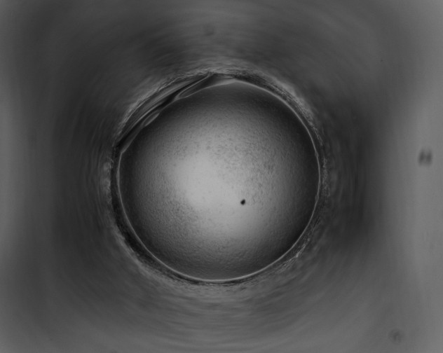 X0000101960010200807181051