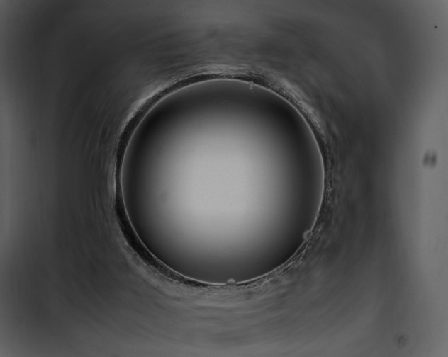 X0000101960011200807181051