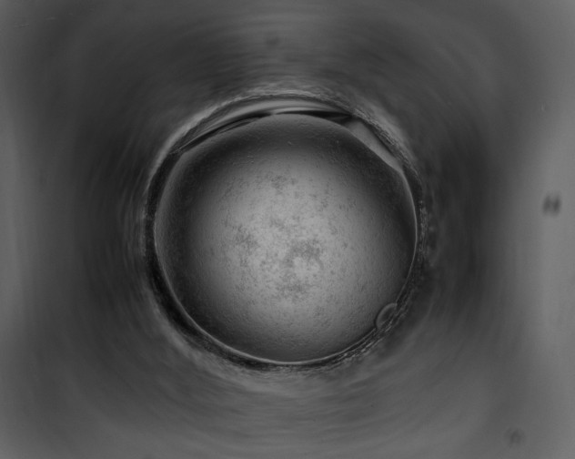 X0000101960012200807181051