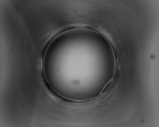 X0000101960013200807181051