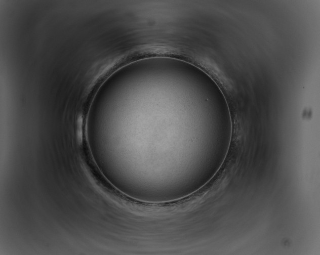 X0000101960014200807181051