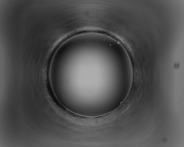 X0000101960015200807181051