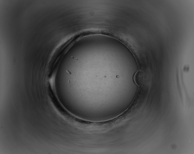 X0000101960016200807181051