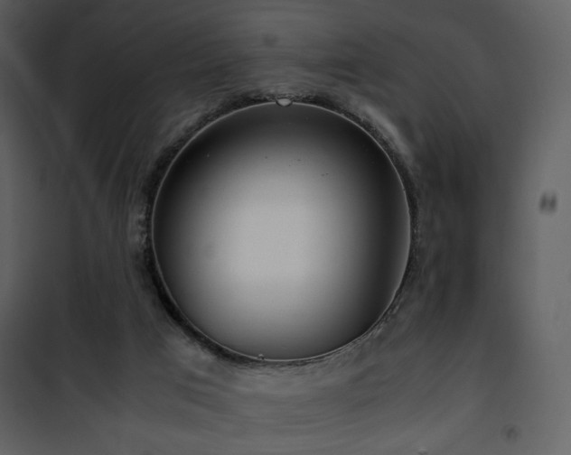 X0000101960017200807181051