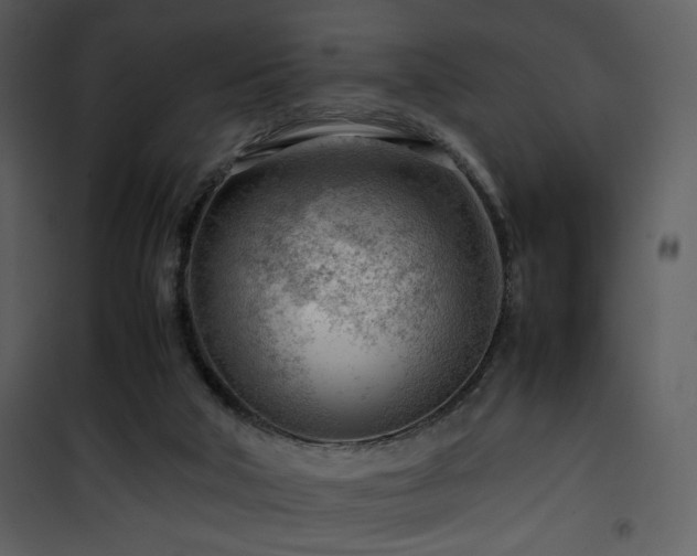 X0000101960018200807181051