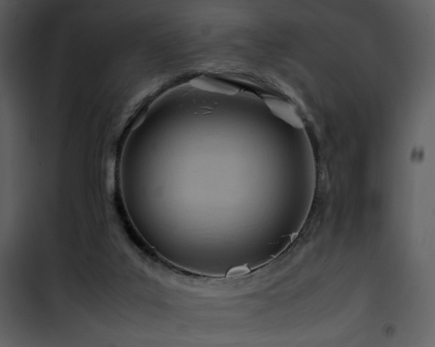 X0000101960019200807181051