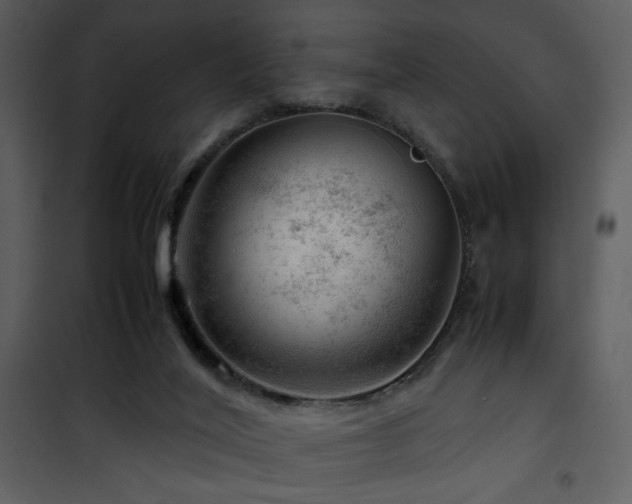 X0000101960020200807181051