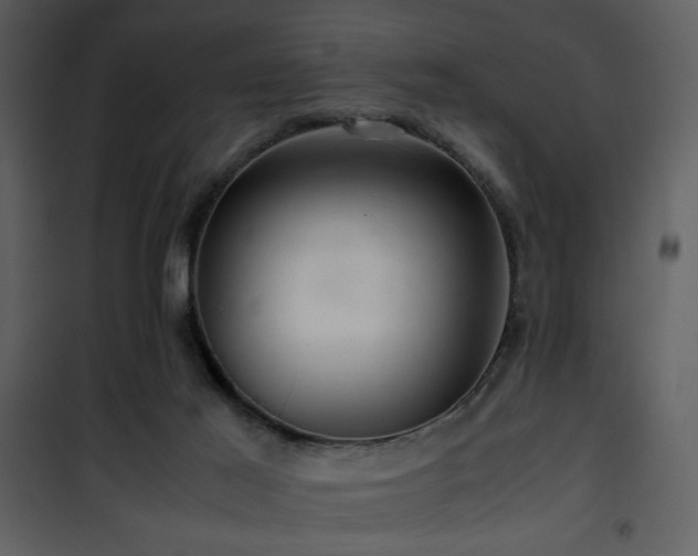 X0000101960021200807181051