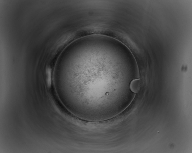 X0000101960022200807181051