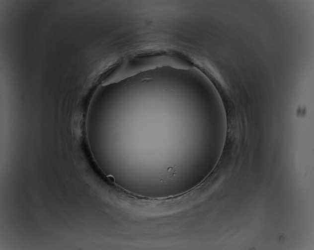 X0000101960023200807181051