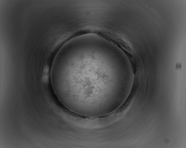 X0000101960024200807181051