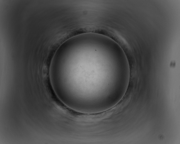 X0000101960025200807181051