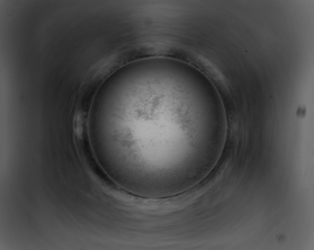 X0000101960026200807181051