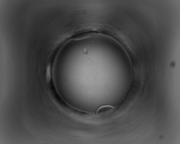 X0000101960028200807181051