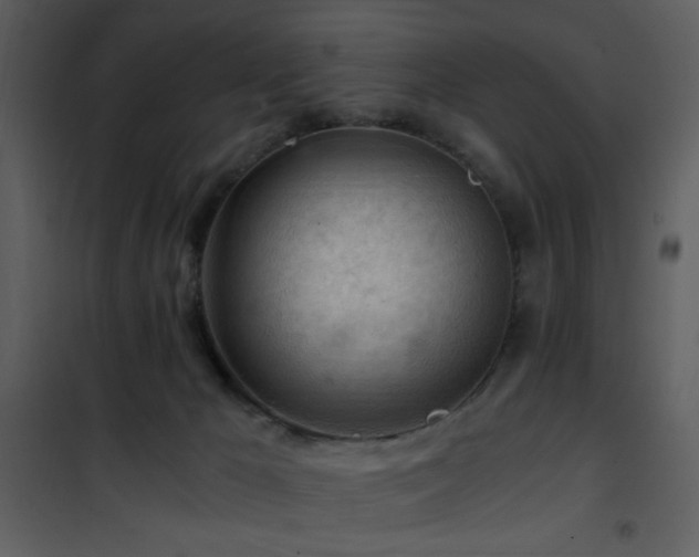 X0000101960029200807181051