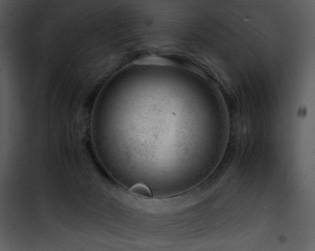 X0000101960030200807181051