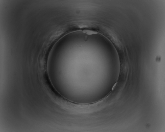 X0000101960031200807181051