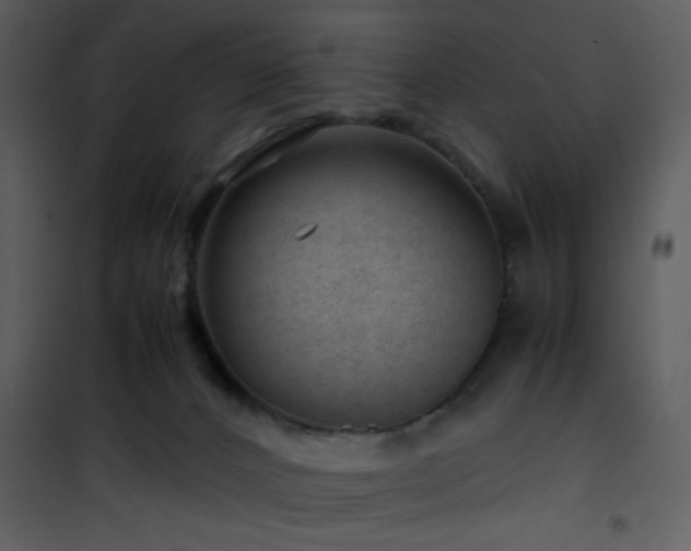 X0000101960032200807181051