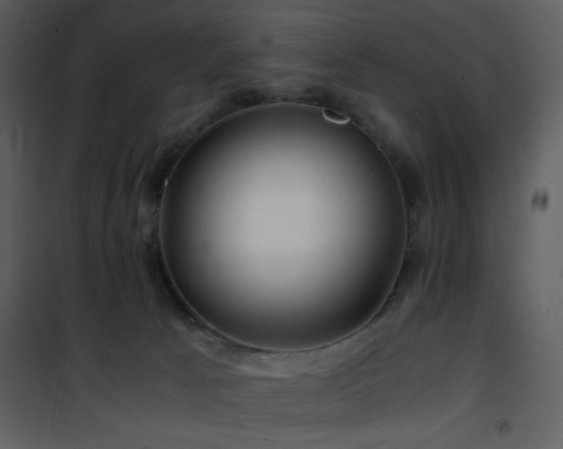 X0000101960033200807181051