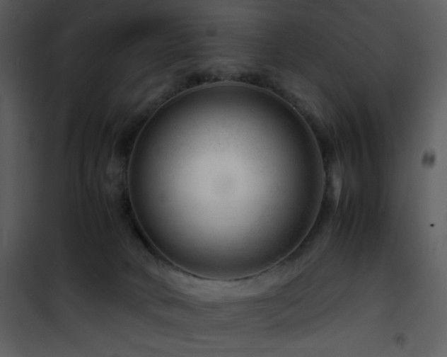 X0000101960034200807181051