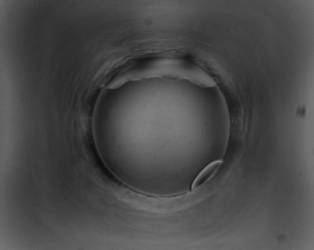 X0000101960035200807181051