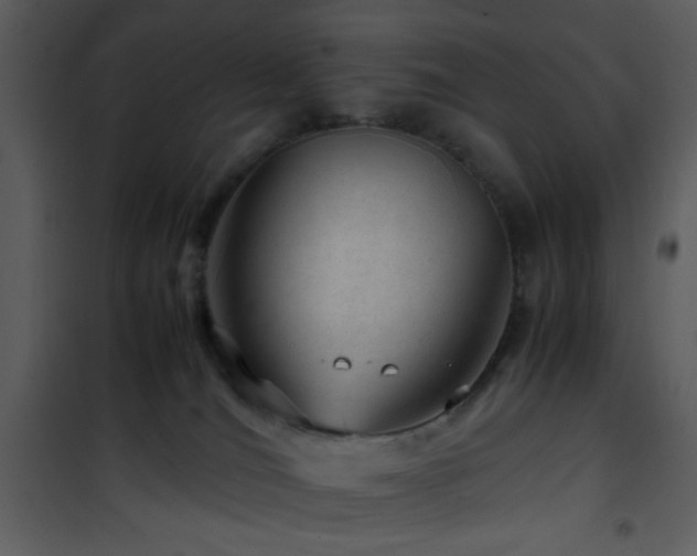 X0000101960036200807181051