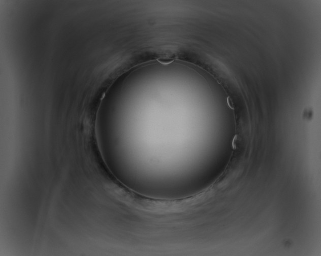 X0000101960037200807181051