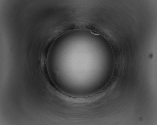 X0000101960038200807181051