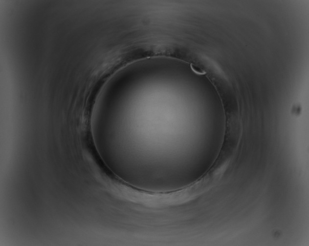 X0000101960039200807181051