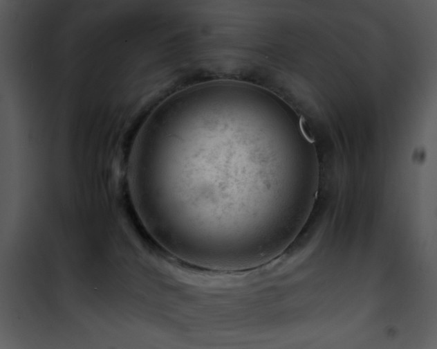 X0000101960040200807181051