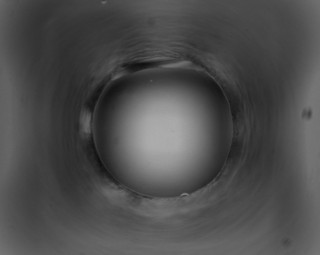 X0000101960041200807181051