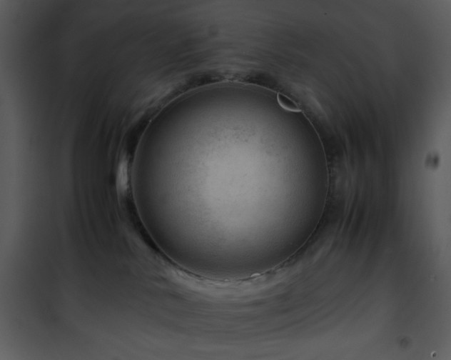 X0000101960042200807181051