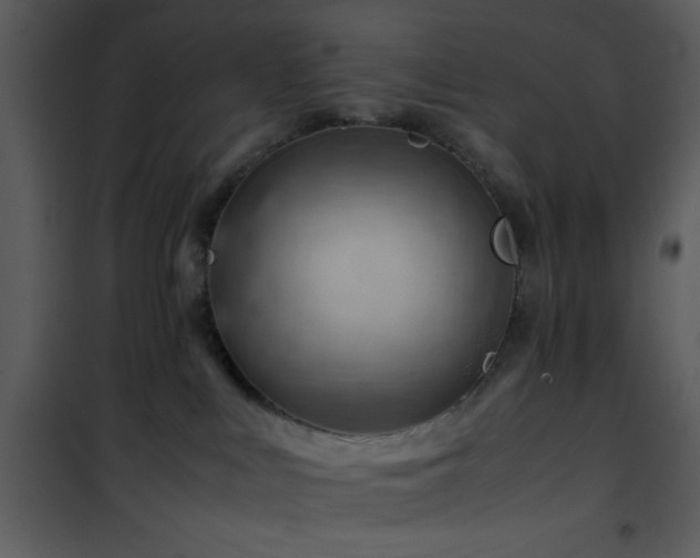 X0000101960043200807181051