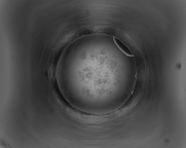 X0000101960044200807181051