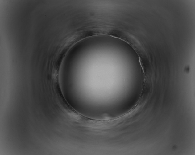 X0000101960045200807181051