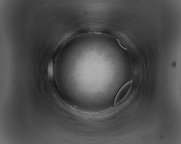 X0000101960046200807181051