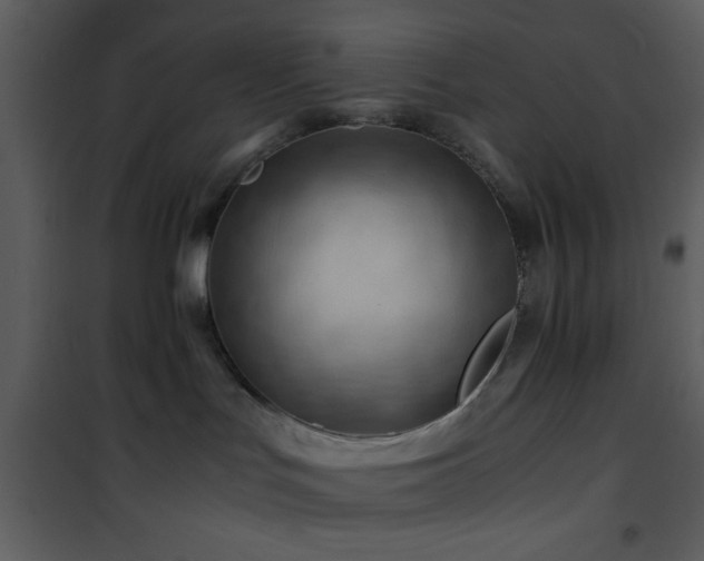 X0000101960047200807181051