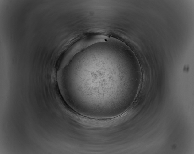 X0000101960048200807181051