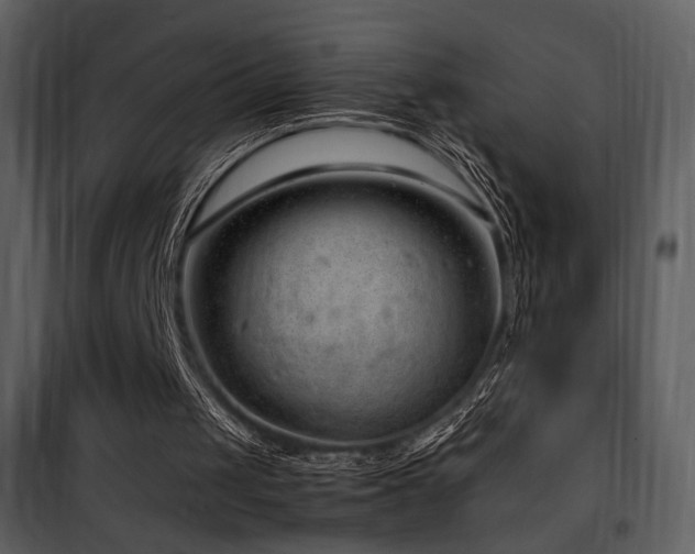 X0000101960049200807181050