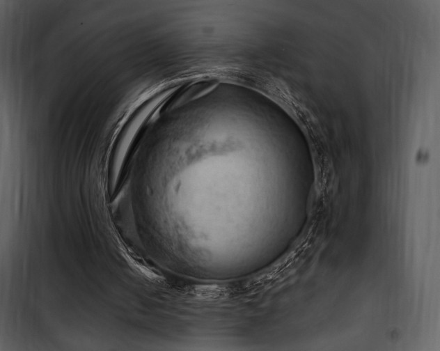 X0000101960050200807181050