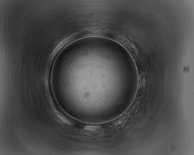 X0000101960051200807181050