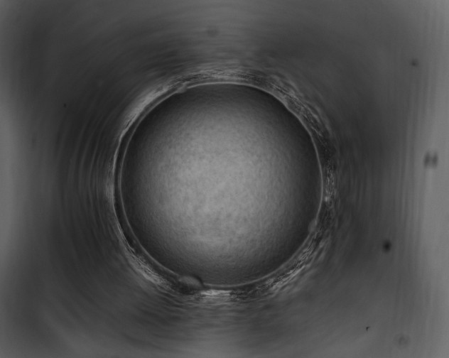 X0000101960052200807181050