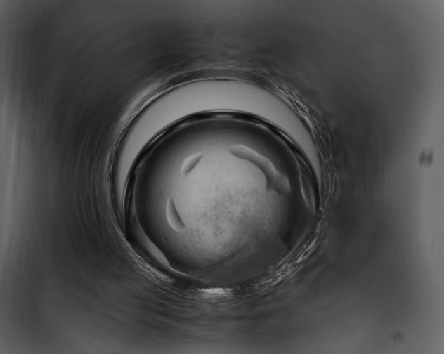 X0000101960053200807181050