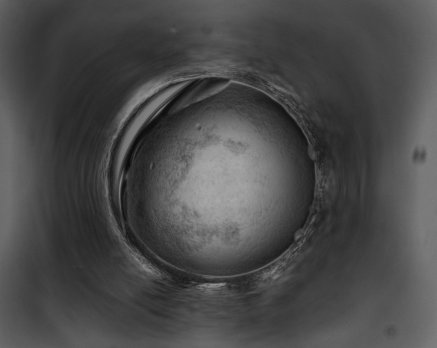 X0000101960054200807181050