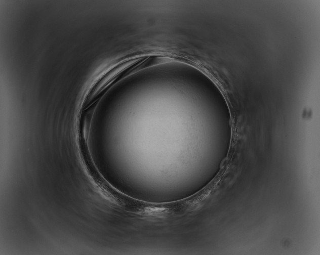 X0000101960055200807181050