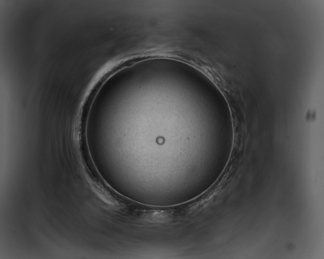 X0000101960056200807181050